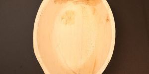 Disposable Areca Leaf Bowl