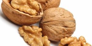 Fresh Walnuts