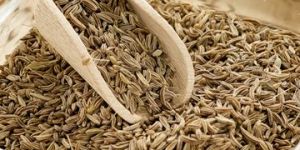 Cumin Seeds