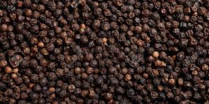 Black Pepper