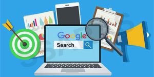 SEO Service Delhi NCR