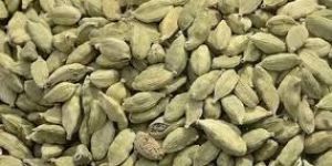 Small Green Cardamom