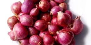 Fresh Sambar Onion
