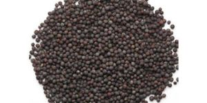 Black Mustard Seeds