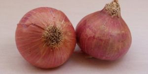 Fresh Pink Onion