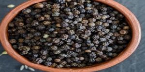 Black Pepper Seeds