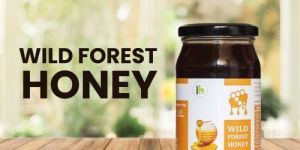 Wild Forest Honey