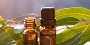 Citriodora Essential Oil