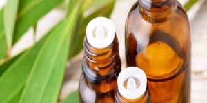 Eucalyptus Essential Oil