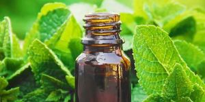 Peppermint Essential Oil