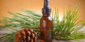 Pine Essential Oil