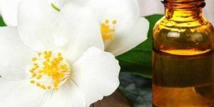 Jasmine Oil