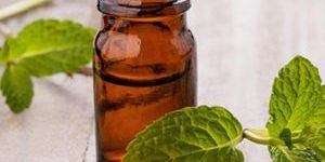 Mentha Citrata Oil