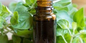 Oregano Oil