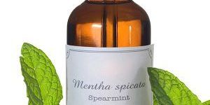 Spearmint Oil