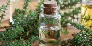 Thyme Oil