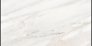 Agaria White Marble