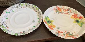 Disposable Printed Paper Plates