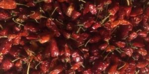 Dried Red Chili