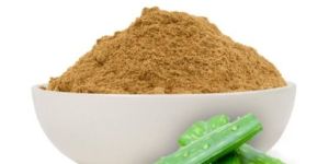 Aloe Vera Extract Powder
