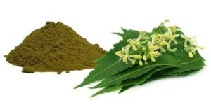 Neem Extract Powder
