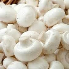 Fresh Mashroom
