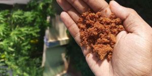 Jaggery Powder