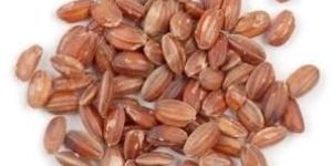 Organic Mappilai Samba Rice