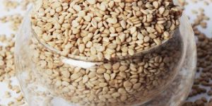 Sesame Seeds