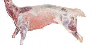Mutton Carcass