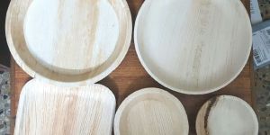 Areca Plates