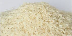 HMT Rice