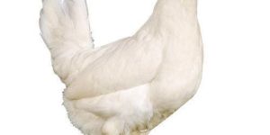 Glucobeta C Micronutrient