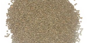Praan Pellet Fish Feed