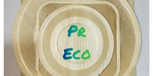 Biodegradable Areca Leaf Plate