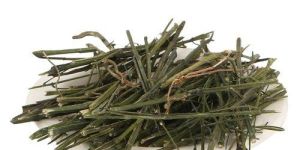 Andrographis Paniculata (Nilavembu)