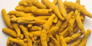 Organic Turmeric Finger