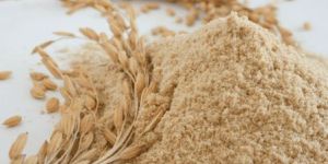 Rice Husk Powder