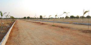 Bbg Real Estate Services