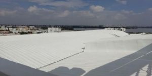 Roof Waterproofing
