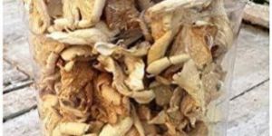Dry Oyster Mushroom