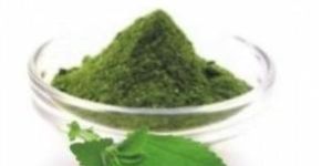 Stevia Powder