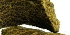 Cotton Seed Oil Cake