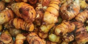 Fresh Turmeric Fingers