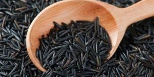Black Rice