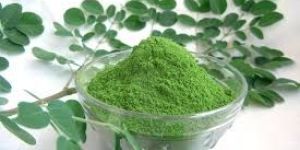 Moringa Dry Leaves Powder