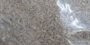 Cumin Seeds