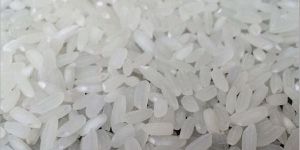 Polished Rice