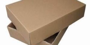 Fruit Packaging Corrugated Box