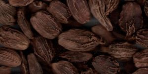 Black Cardamom
